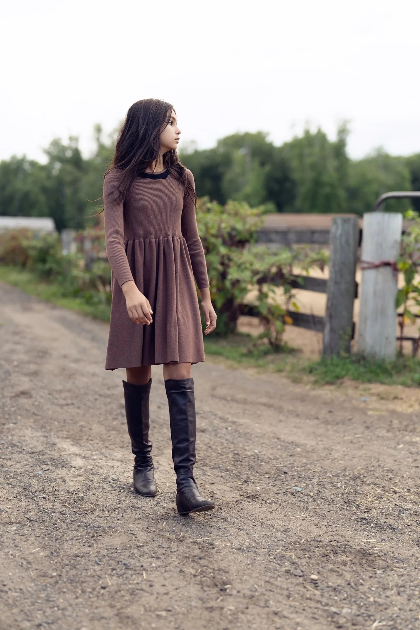 Bamboo Walnut Knit Scallop Collared Dress [Final Sale]