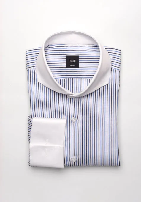 Black & Blue Pencil Stripes Shirt -White Cut Away Extreme Collar